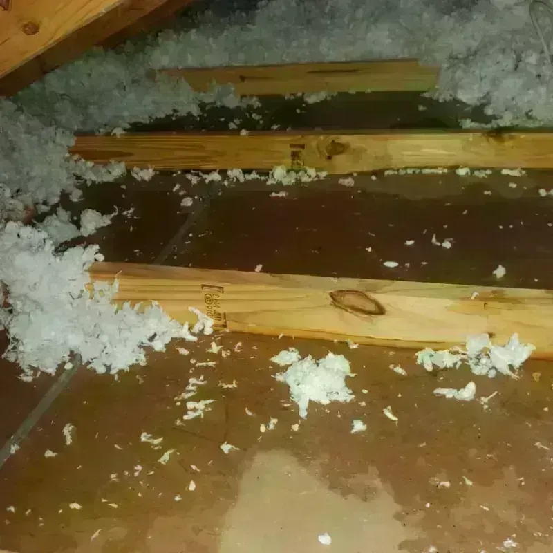 Attic Water Damage in Ashland, AL