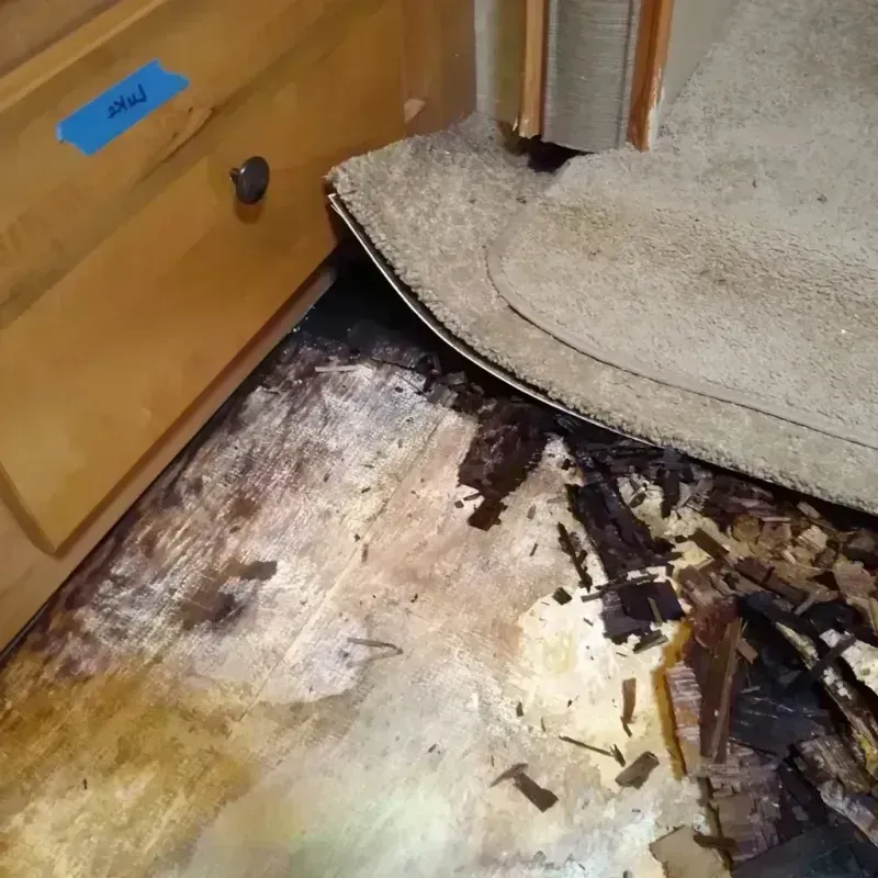 Wood Floor Water Damage in Ashland, AL